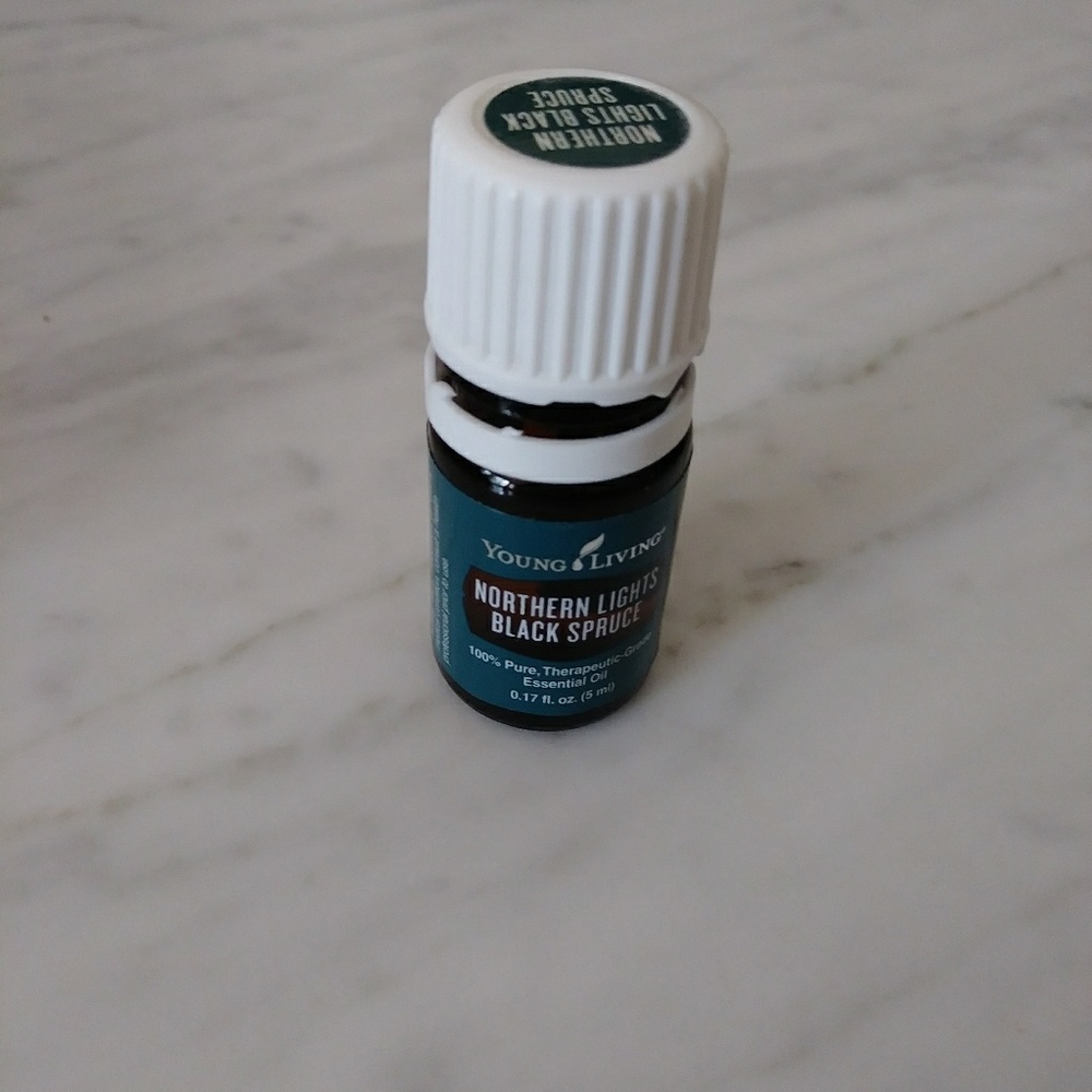 Northern Lights Black Spruce